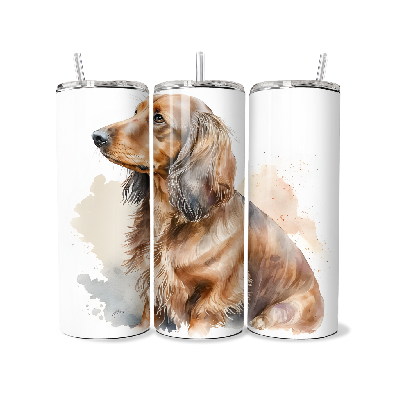 Dog - Long-haired Dachshund - Tumbler
