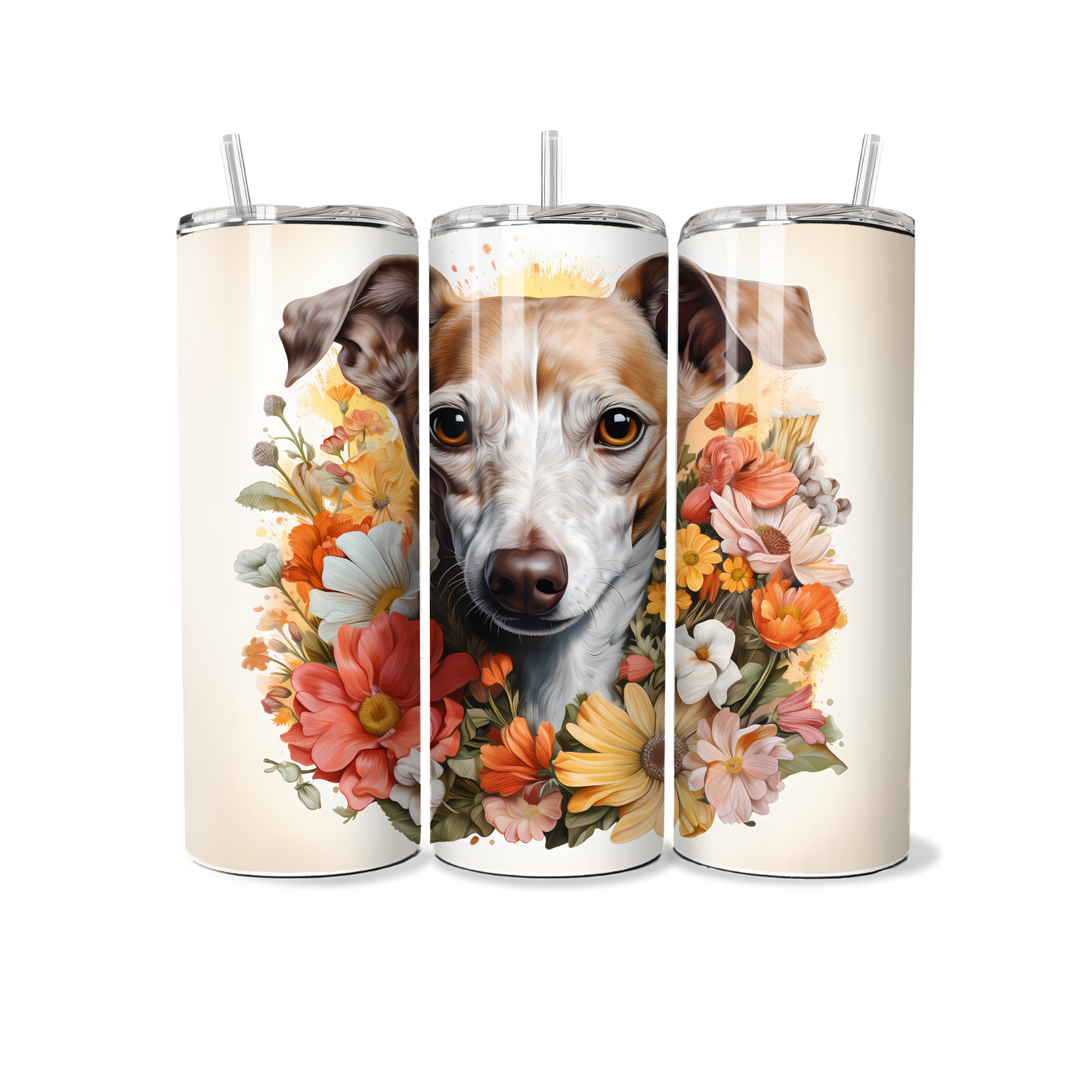 Dog - Italian Greyhound - Tumber