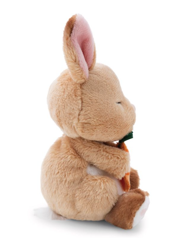 Nici Sleeping Pets Konijn met wortel