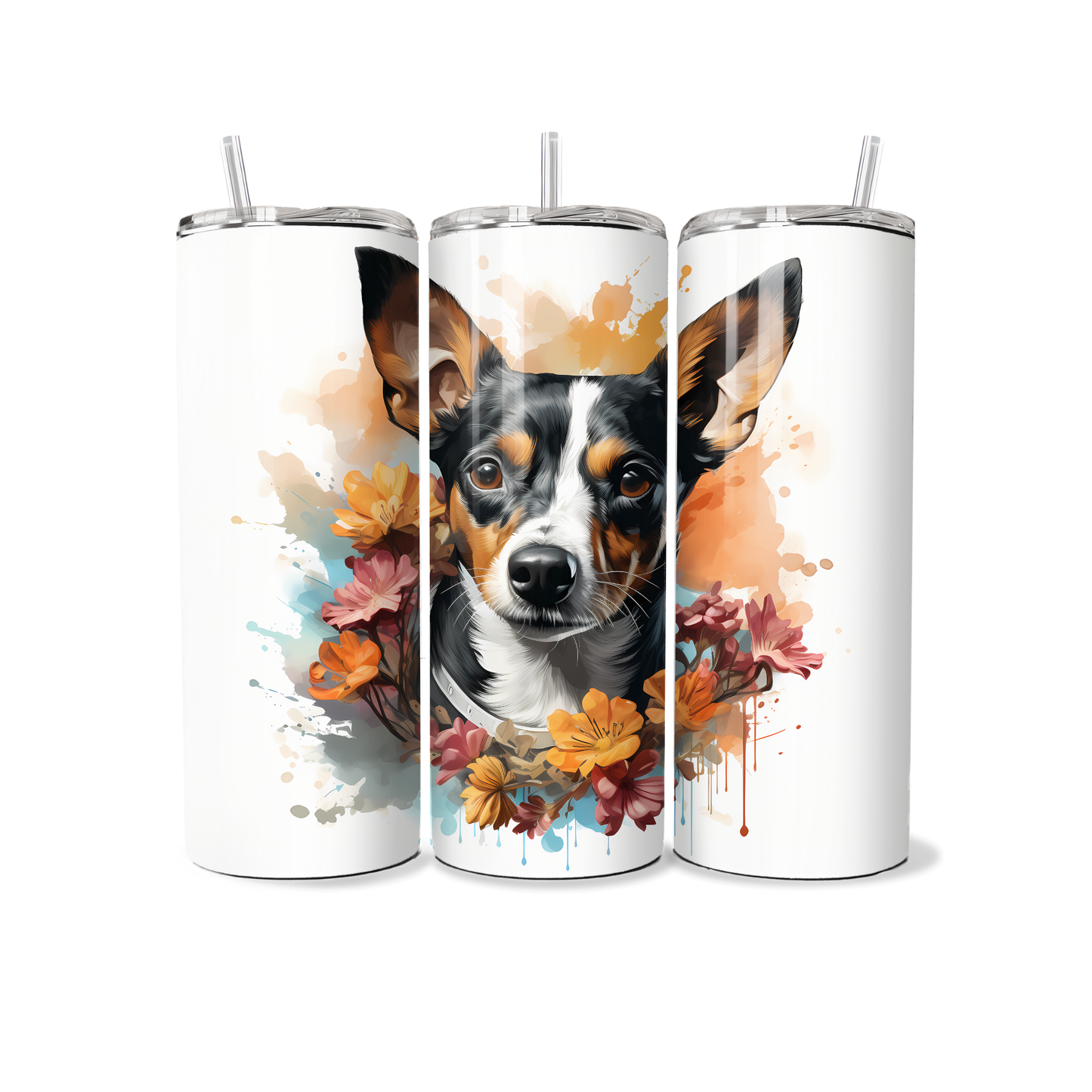 Dog - Rat Terrier - Tumbler