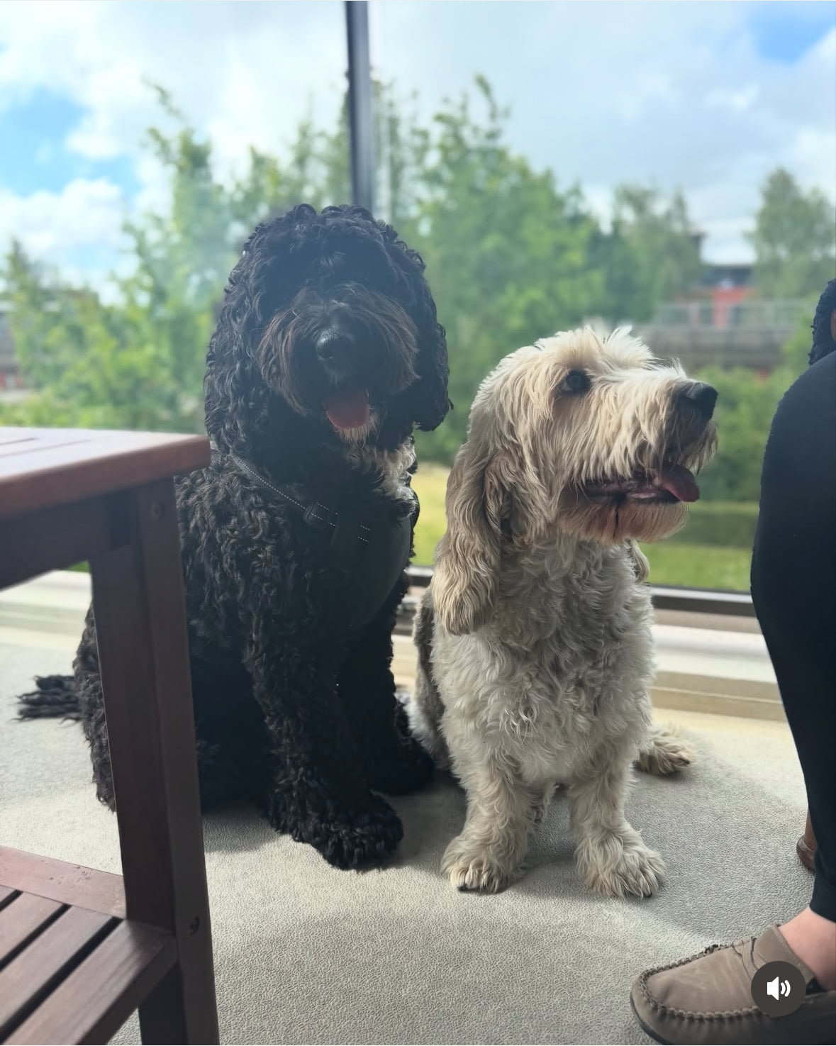 Jouw huisdier op een tegeltje!