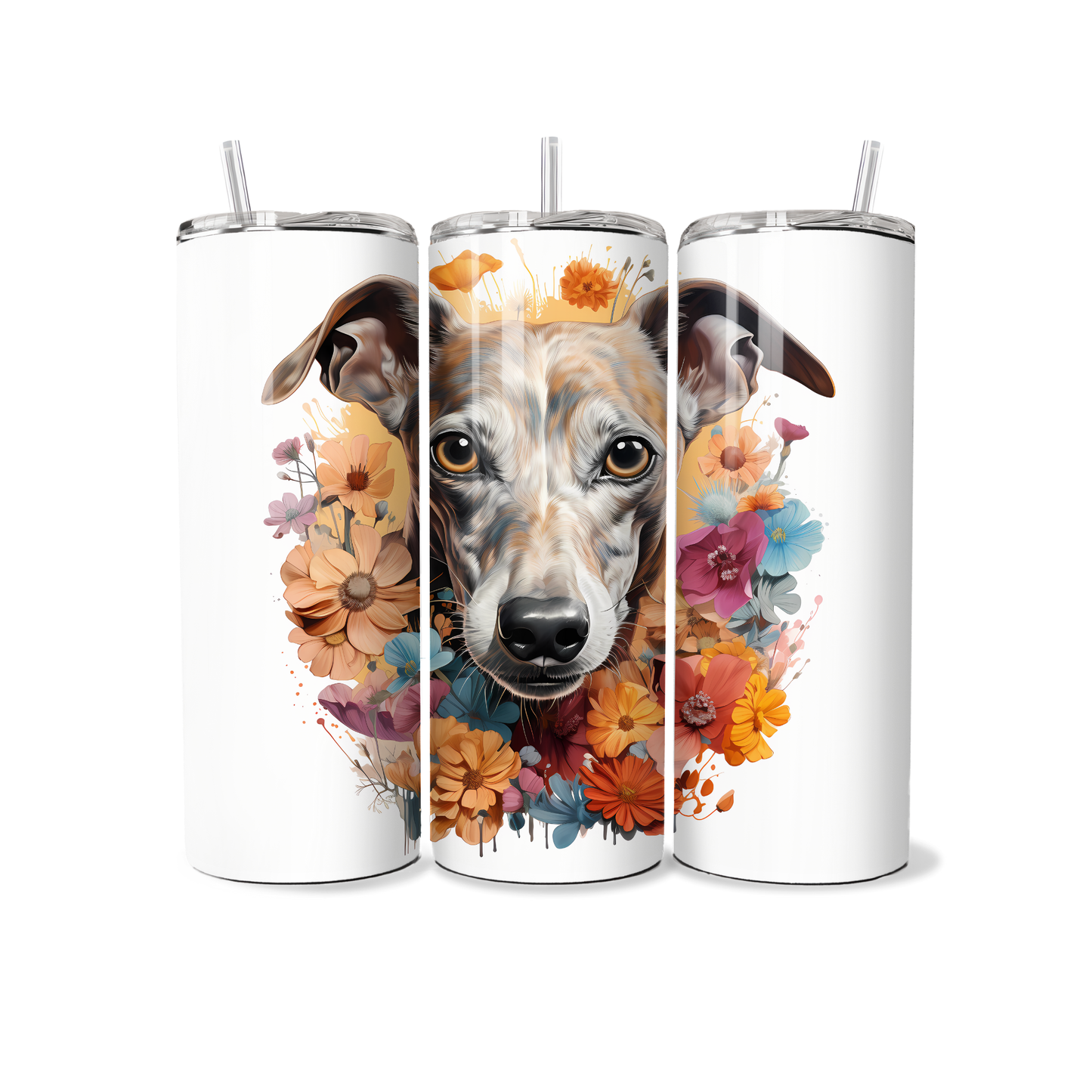 Dog - Italian Greyhound - Tumber