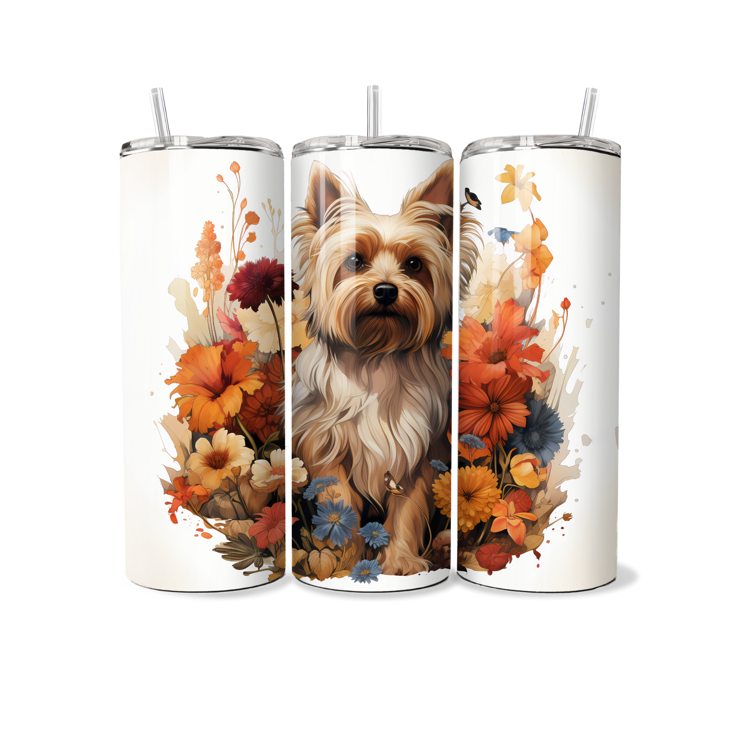Hond - Yorkshire Terrier - Tumbler